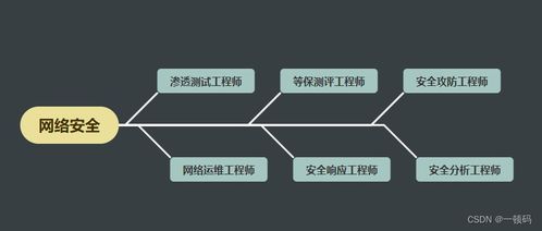 想入行網絡安全行業？別急，先看了這篇文章再說 網絡與信息安全軟件開發之路